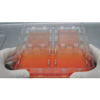 Skin Graft 細(xì)胞培養(yǎng)皿(專為皮膚和其他移植物生長而設(shè)計(jì))
