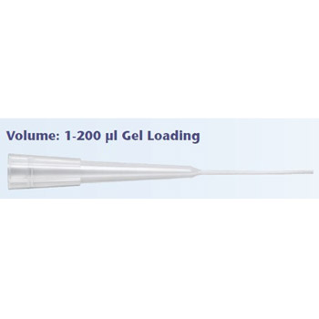 1-200μl 標準點樣吸頭 010